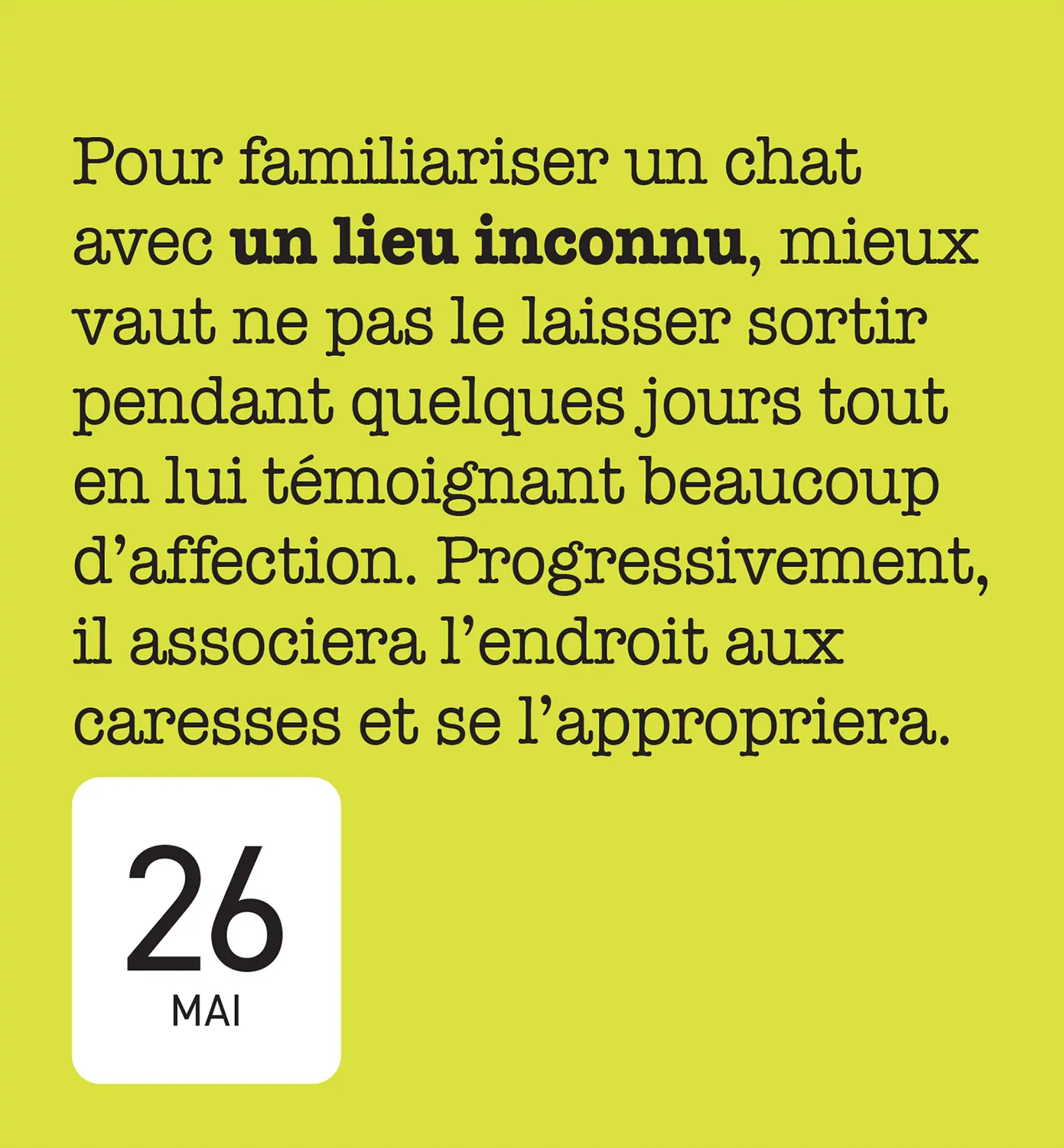 Frigobloc Mini calendrier 365 amours de chats éphéméride