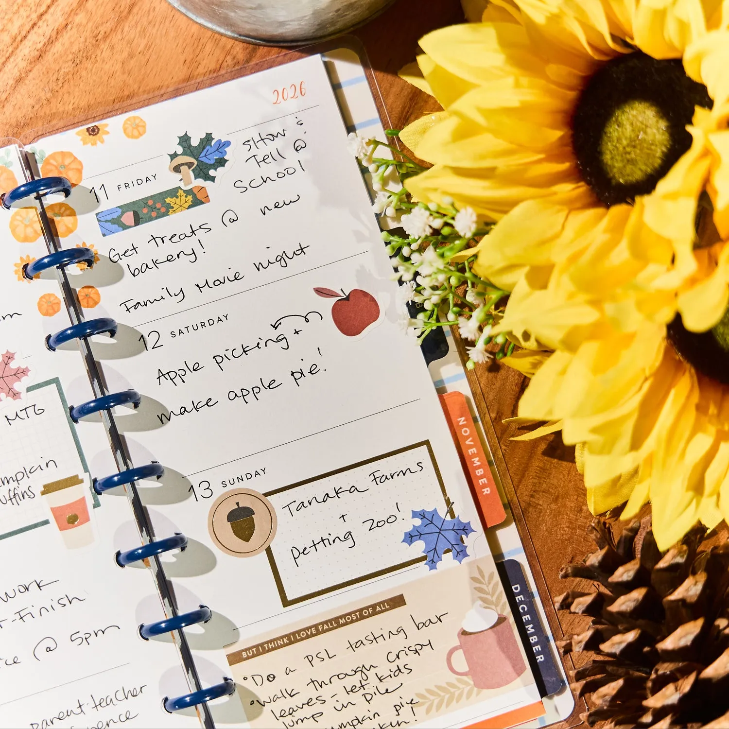 Me & my big ideas Happy Planner Seasonal Charm agenda 12 mois fin
