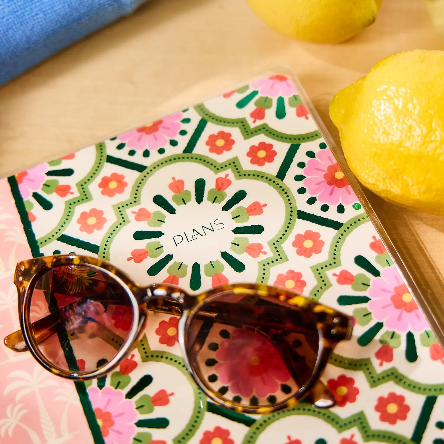 Happy Planner Palm Beach agenda non daté Classic checklist 12 mois
