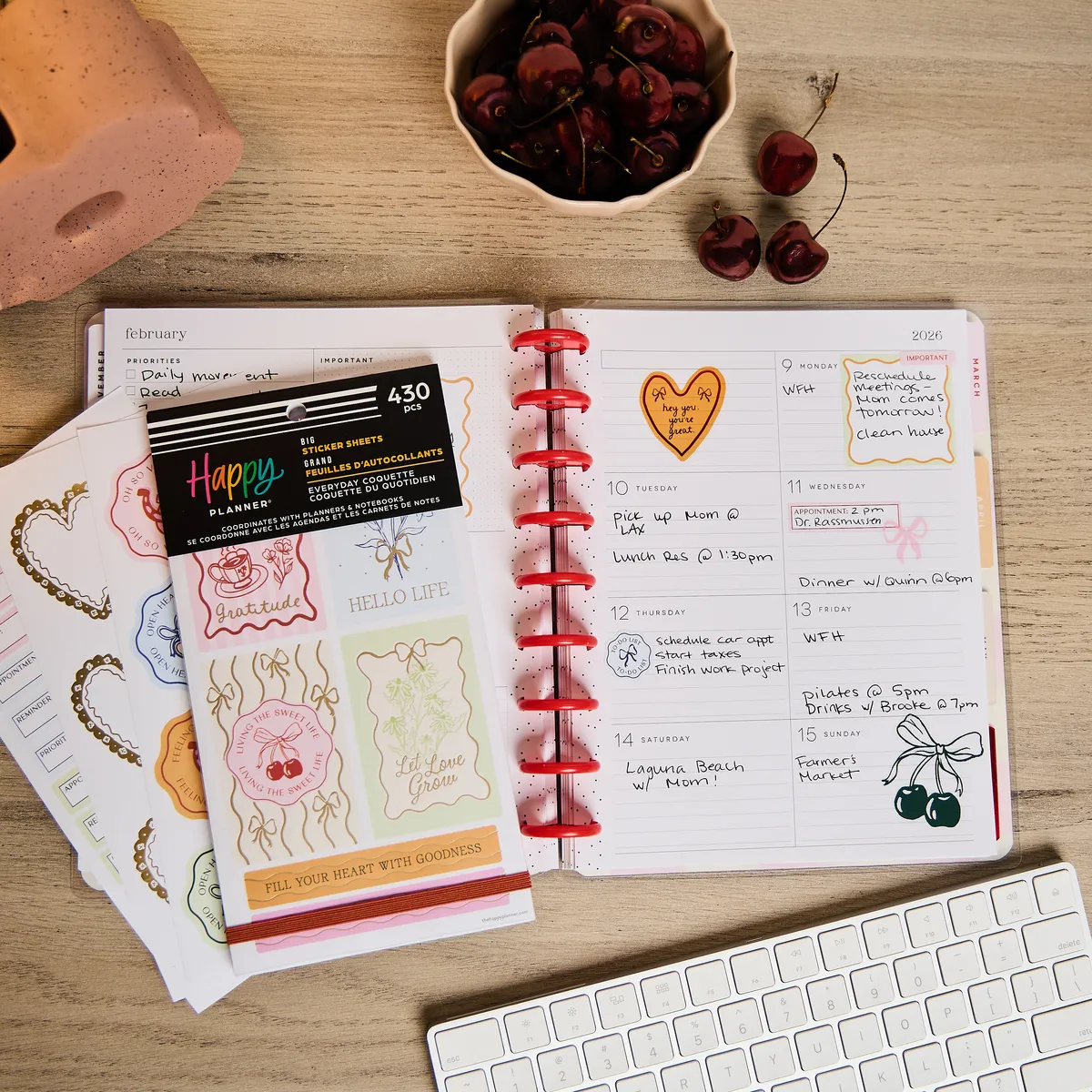 Happy Planner Everyday Coquette stickers Big 430 pièces
