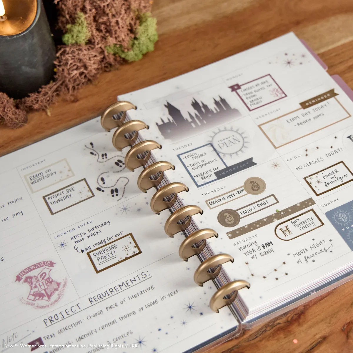 Happy Planner Harry Potter agenda classic dashboard non daté 12 mois