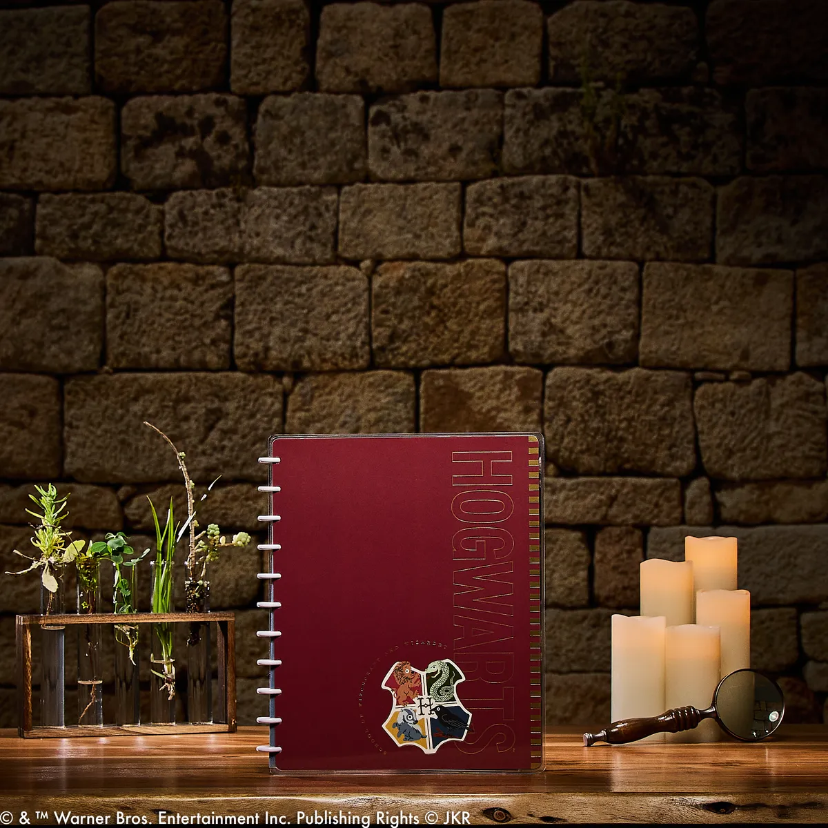 Happy Planner Harry Potter carnet Big pointillé 60 pages