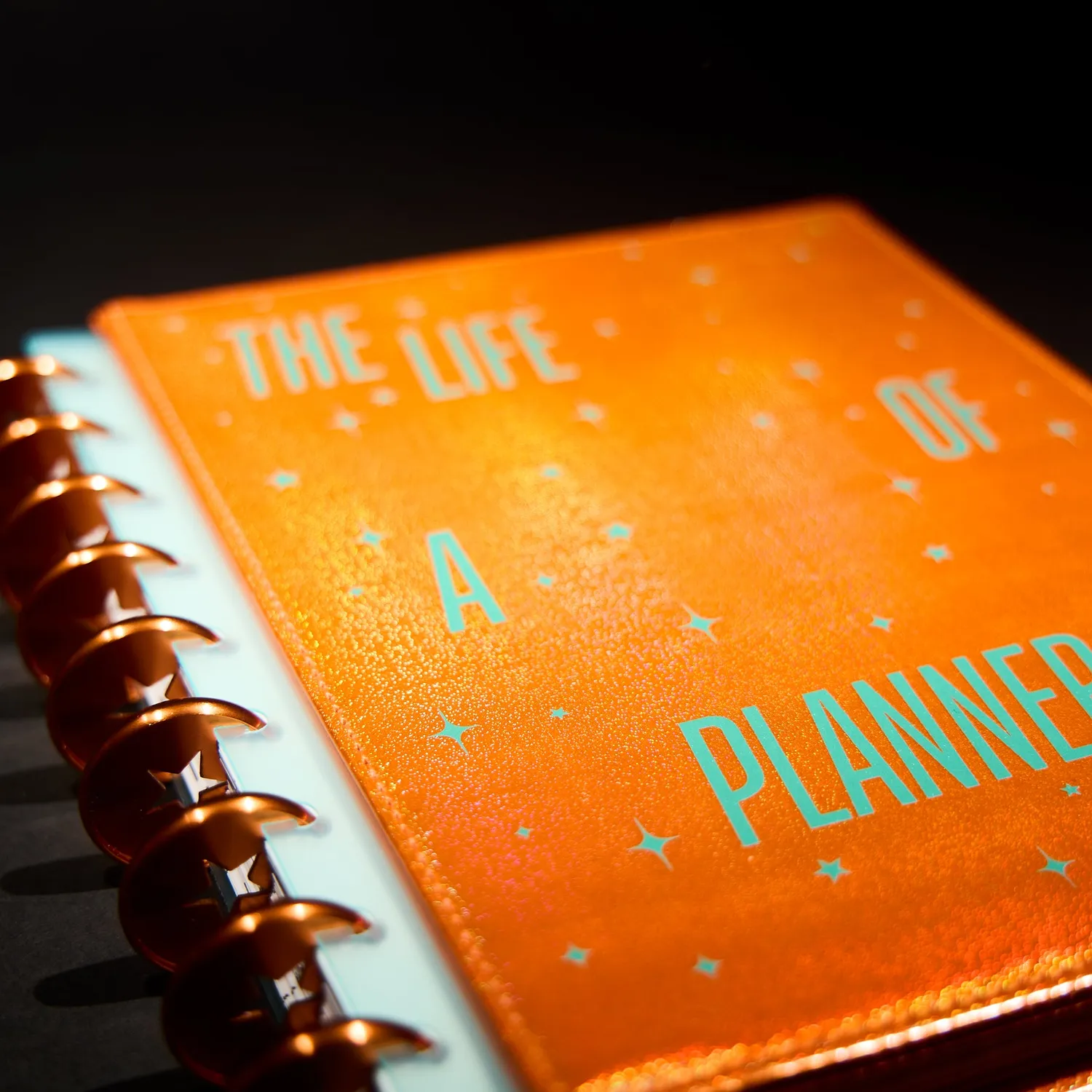 Me & my big ideas Planner Girl Deluxe Cover Disc Set couverture classic
