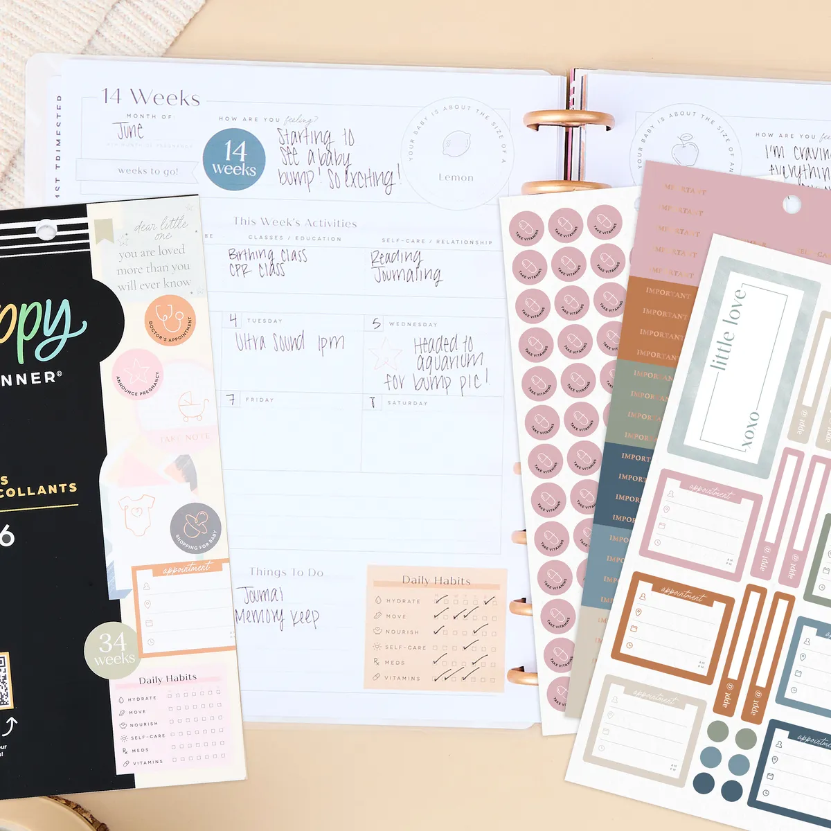 Happy Planner Baby on the Way stickers grossesse 1146