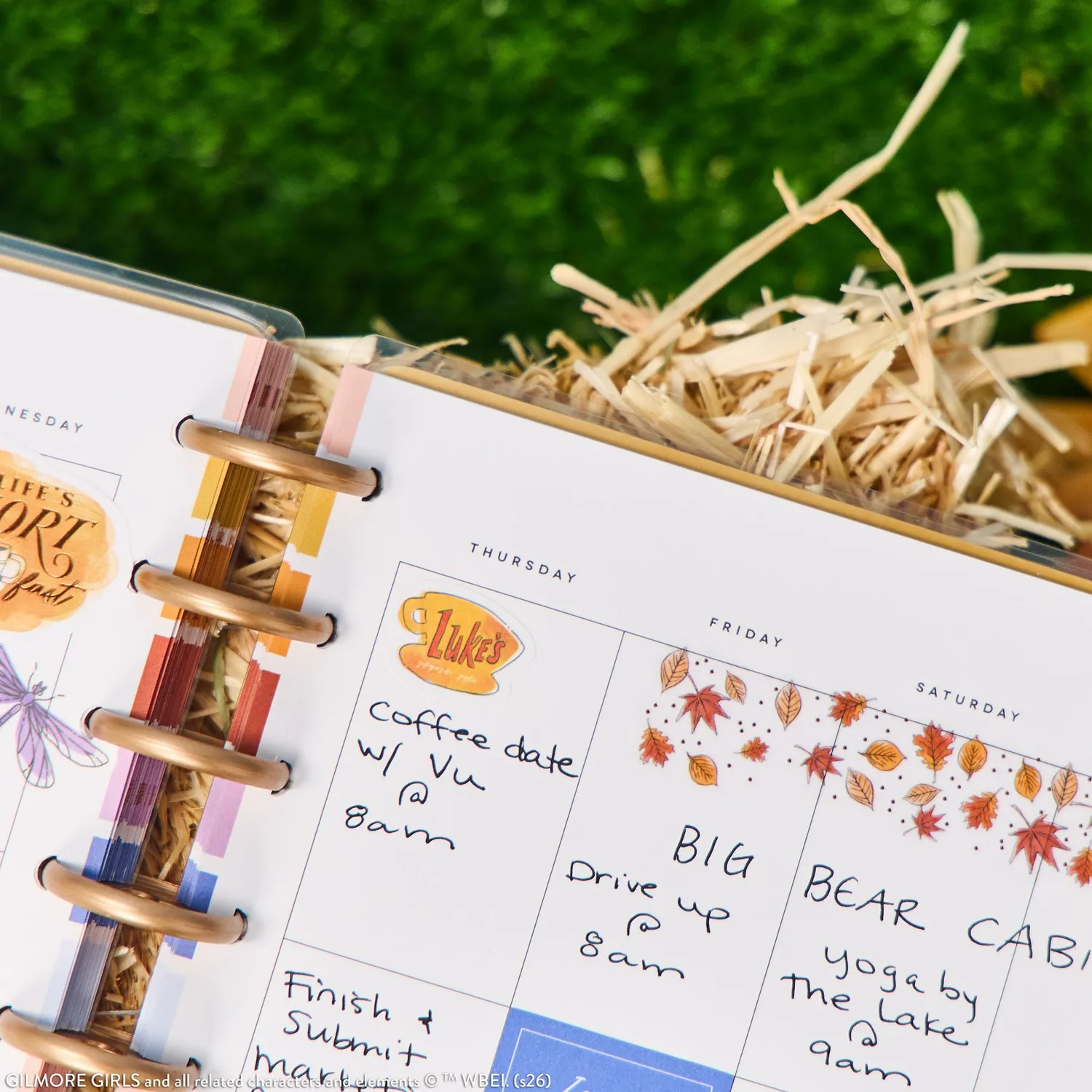Happy Planner Gilmore Girls planner Classic vertical non daté 12m
