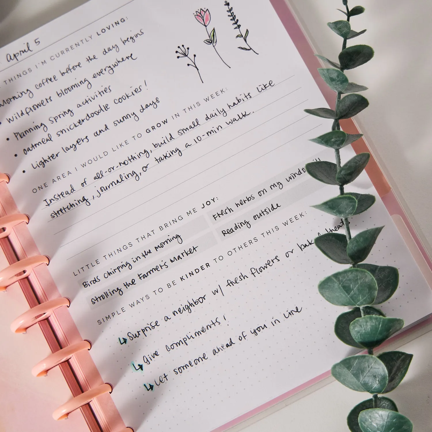 Happy Planner Rise & Align Wellness journal guidé bien-être 80 feuilles