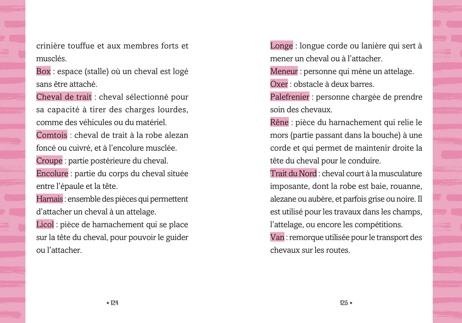Le Galop des Étoiles Tome 5 Le poulain surprise roman 8 ans équitation