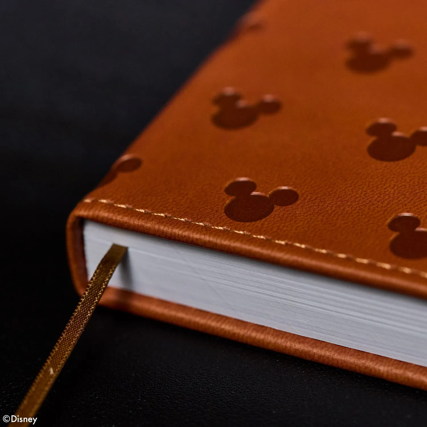 Happy Planner Camel Disney Mickey Mouse agenda relié non daté