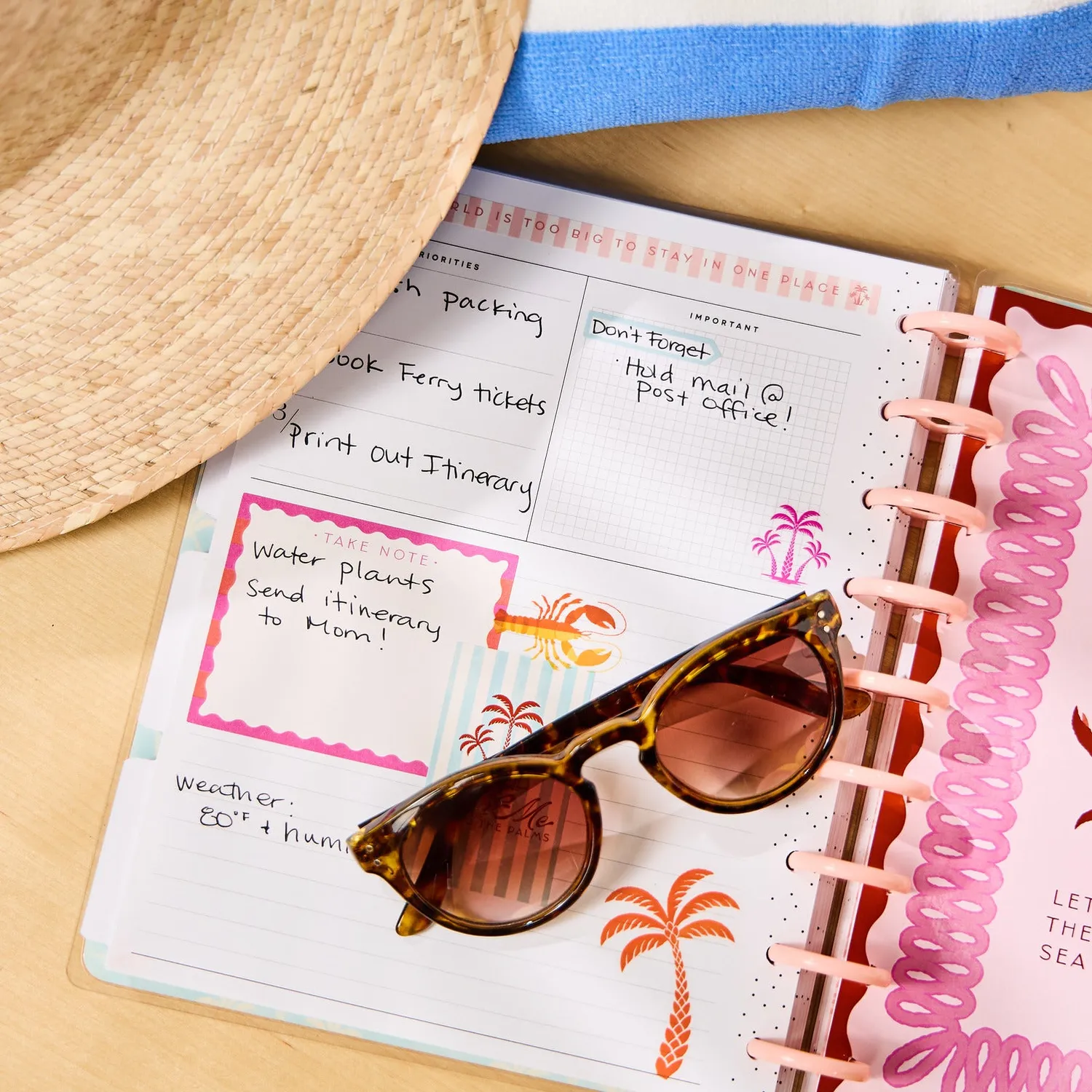 Happy Planner Palm Beach agenda non daté Classic checklist 12 mois