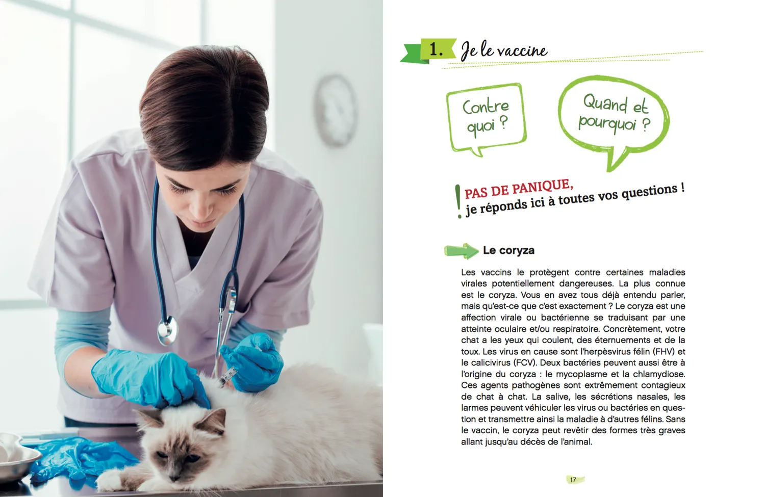 Frigobloc Comment rendre mon chat heureux carnet santé chat