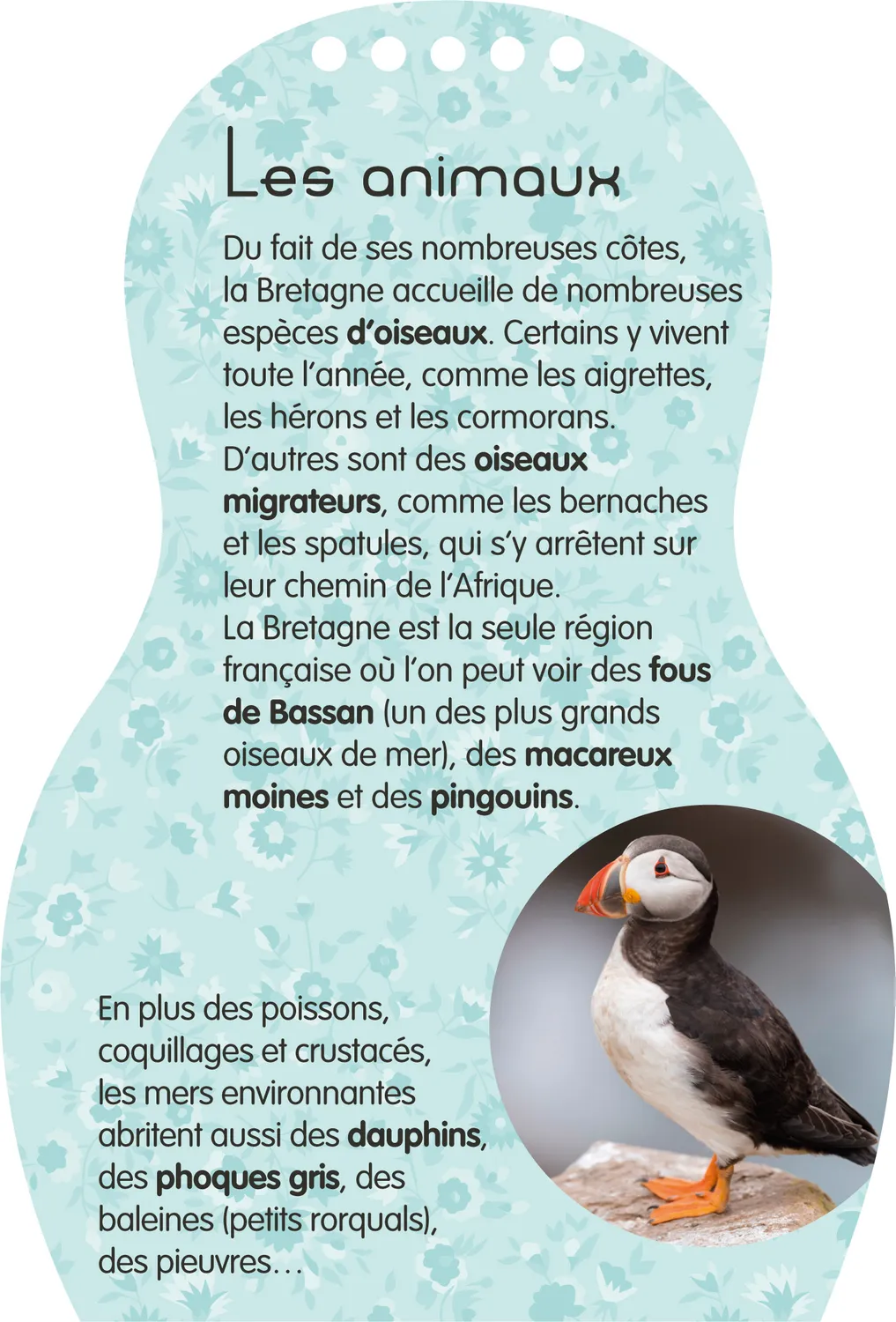 Frigobloc Minimiki Maëlle en Bretagne carnet créatif stickers