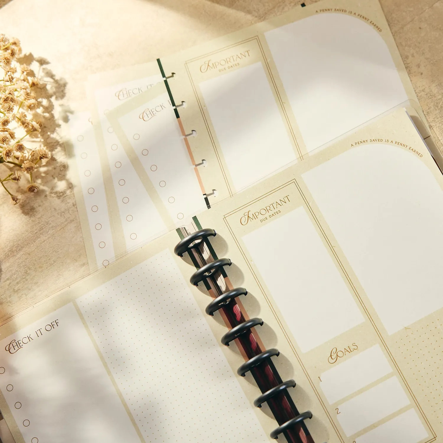 Happy Planner Amber & Oak recharge budget Classic 40 feuilles