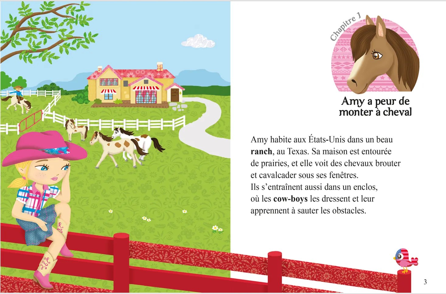 Minimiki Le joli poulain d'Amy livre dès 6 ans ranch