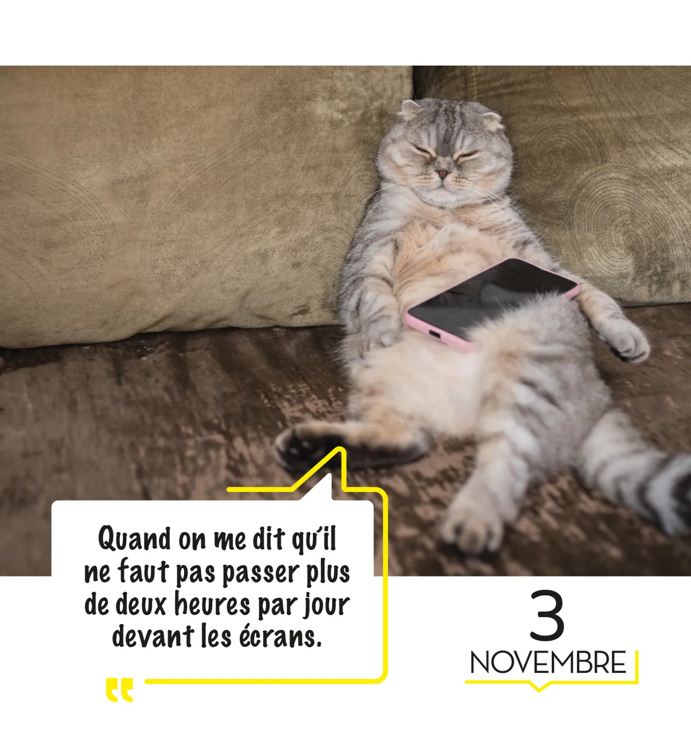 Frigobloc 365 mèmes hilarants mini calendrier humour