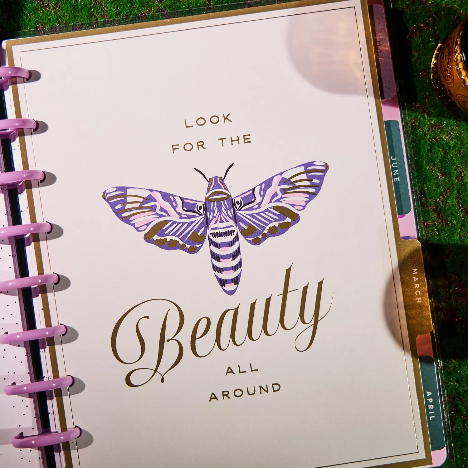 Happy Planner Butterfly Botanics 2026 agenda Classic color block