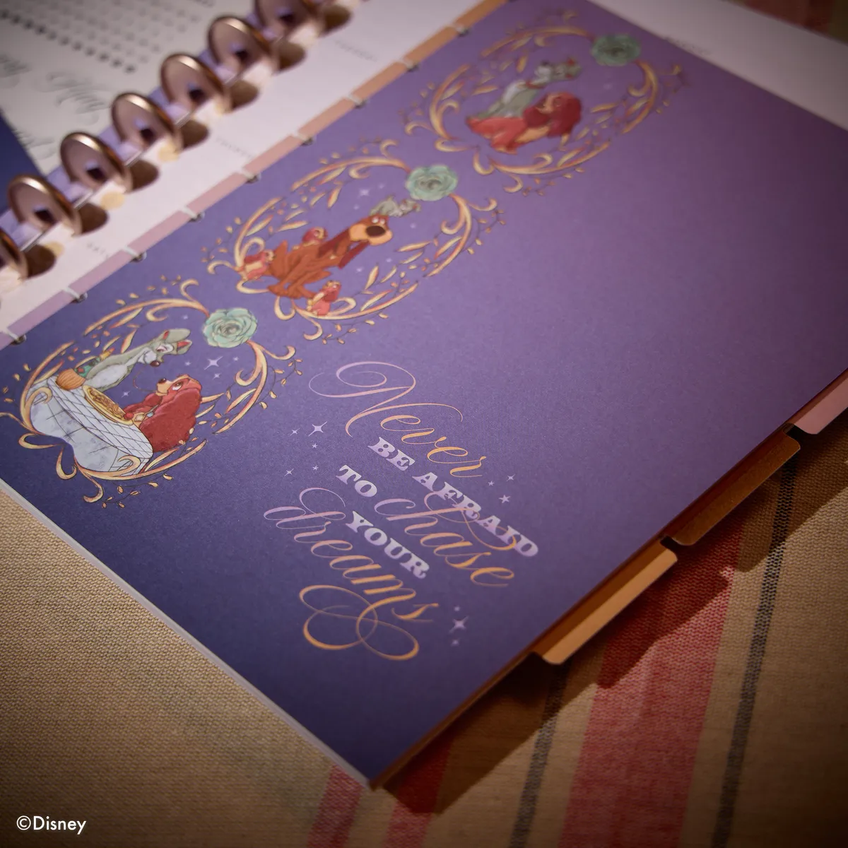 Happy Planner Disney Lady Tramp extension planner Big 4 mois