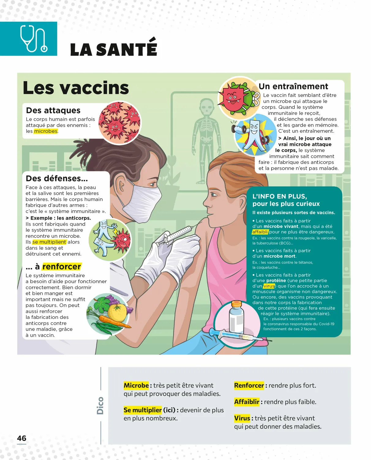 Le Petit Quotidien L'encyclopédie visuelle Corps humain livre enfant