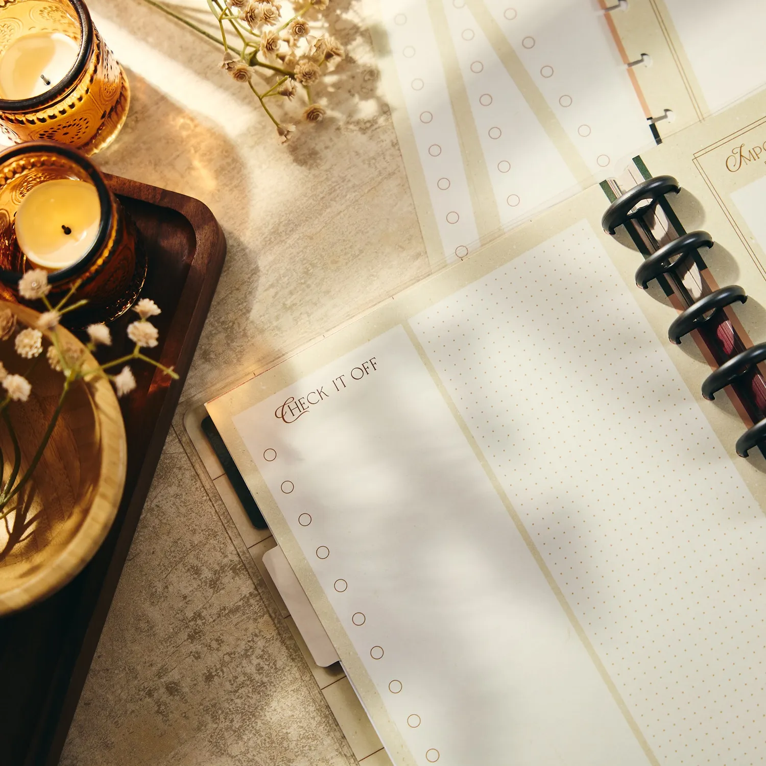 Happy Planner Amber & Oak recharge budget Classic 40 feuilles