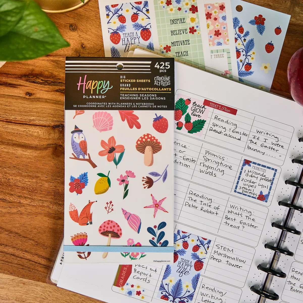 Happy Planner Teaching Seasons Big stickers 425 autocollants