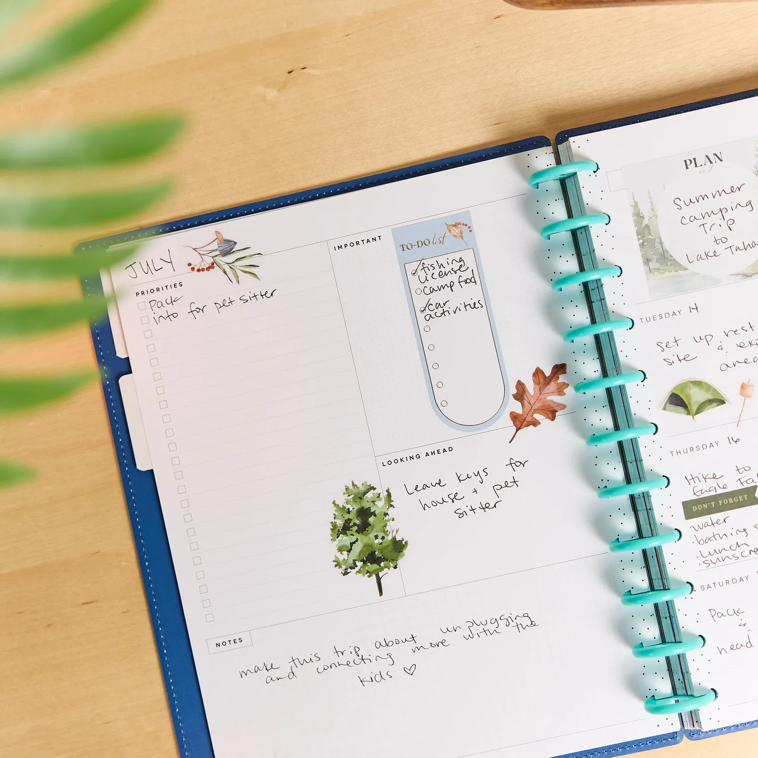 Happy Planner Sunshine Splash agenda Big Dashboard non daté 12 mois