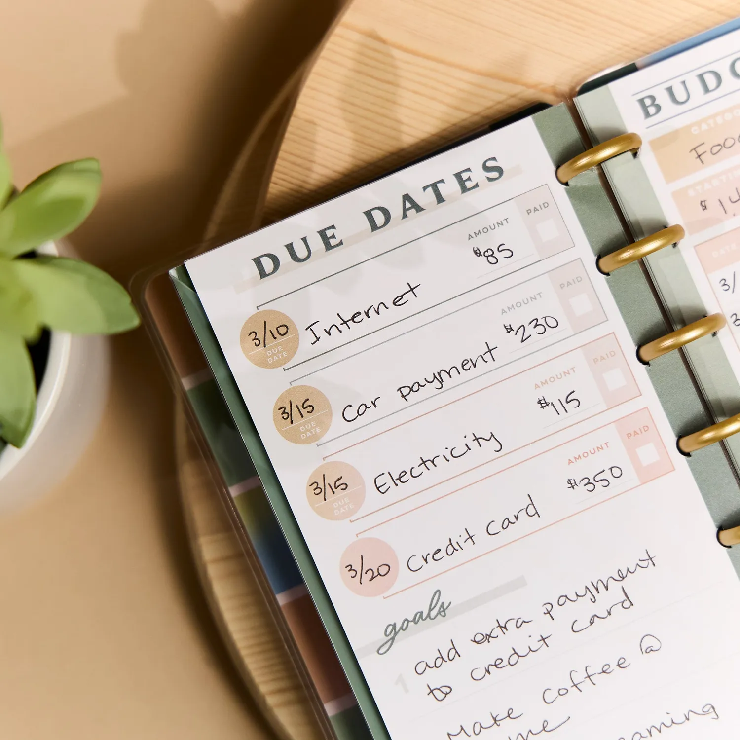 Happy Planner Savvy Budgeter carnet budget Skinny Classic