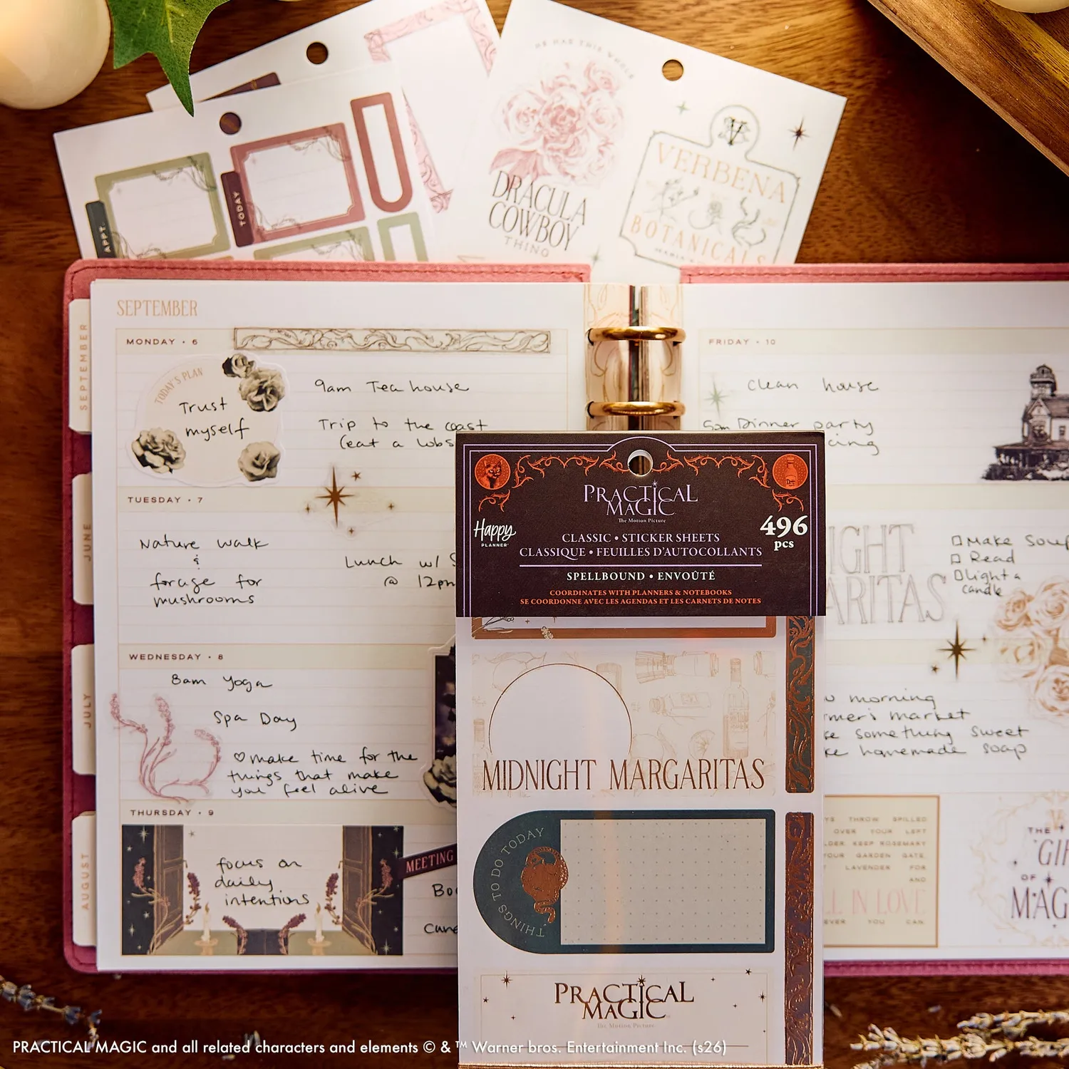 Happy Planner Practical Magic livre stickers céleste