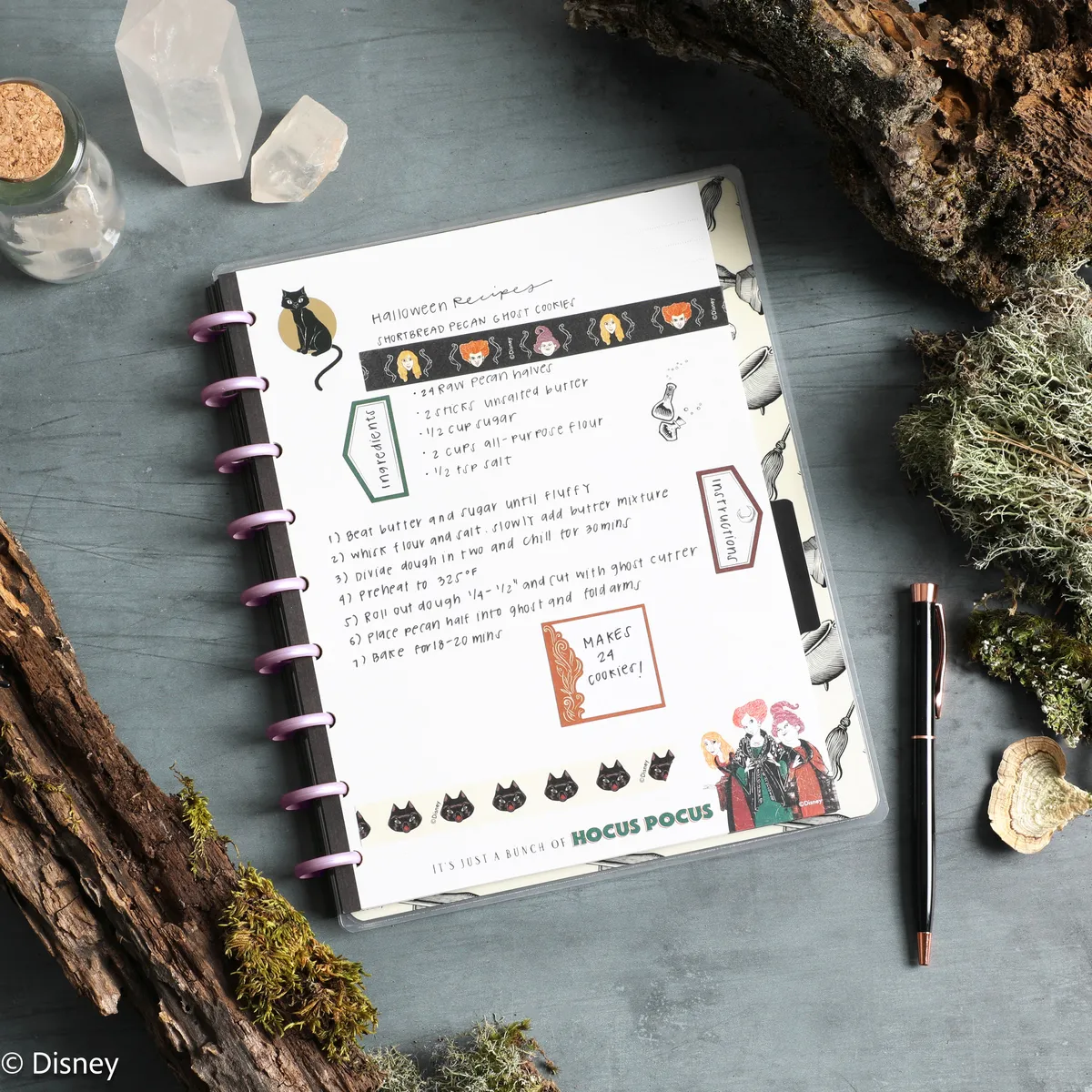 Happy Planner Hocus Pocus carnet à disques ligné pointillé