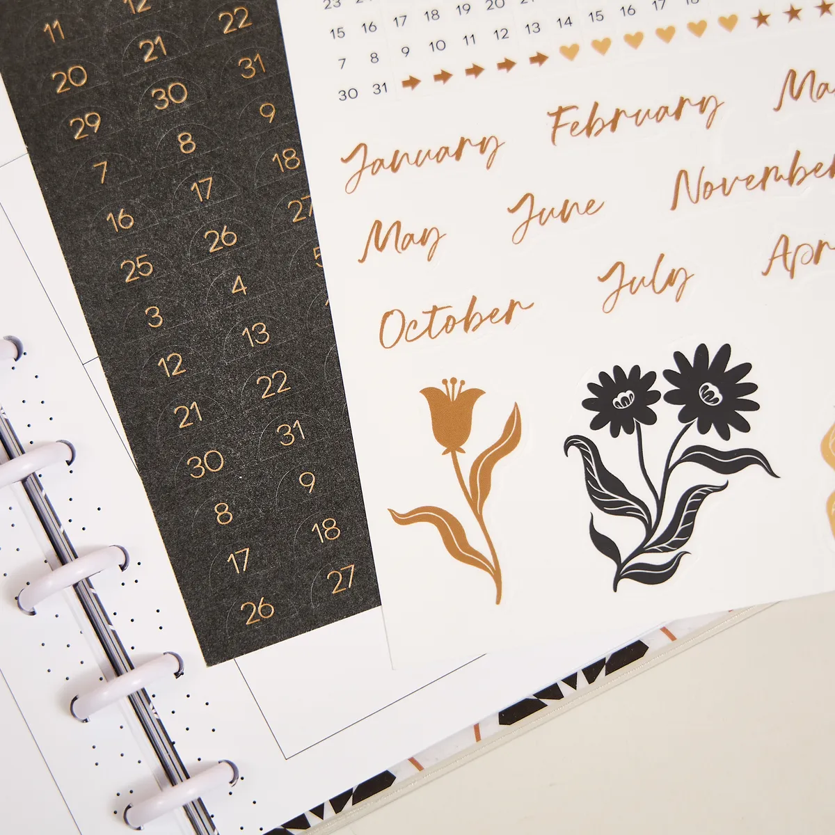 Happy Planner Modern Craft extension Big 6 mois horizontal
