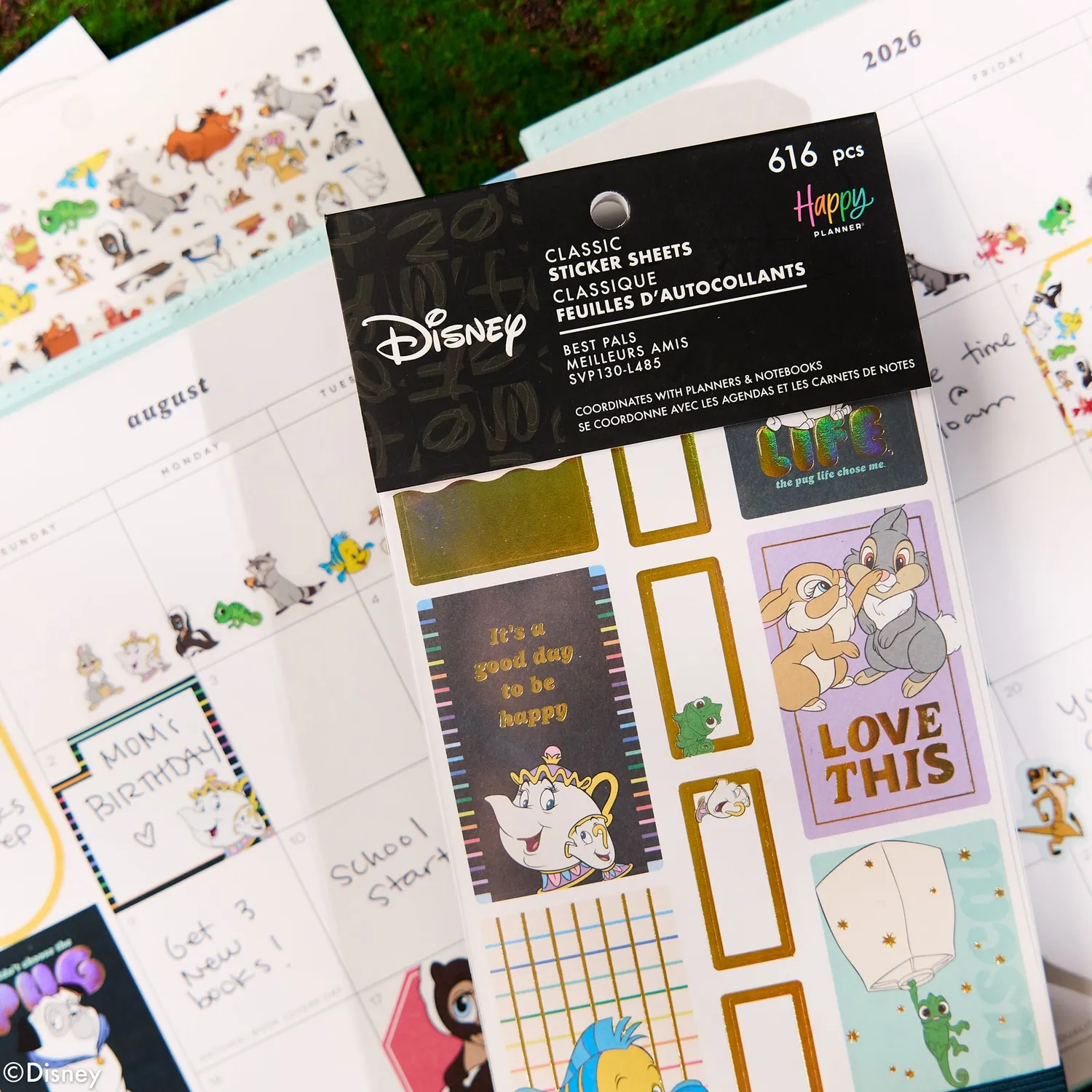 Happy Planner Disney Best Pals stickers Value Pack 30 feuilles