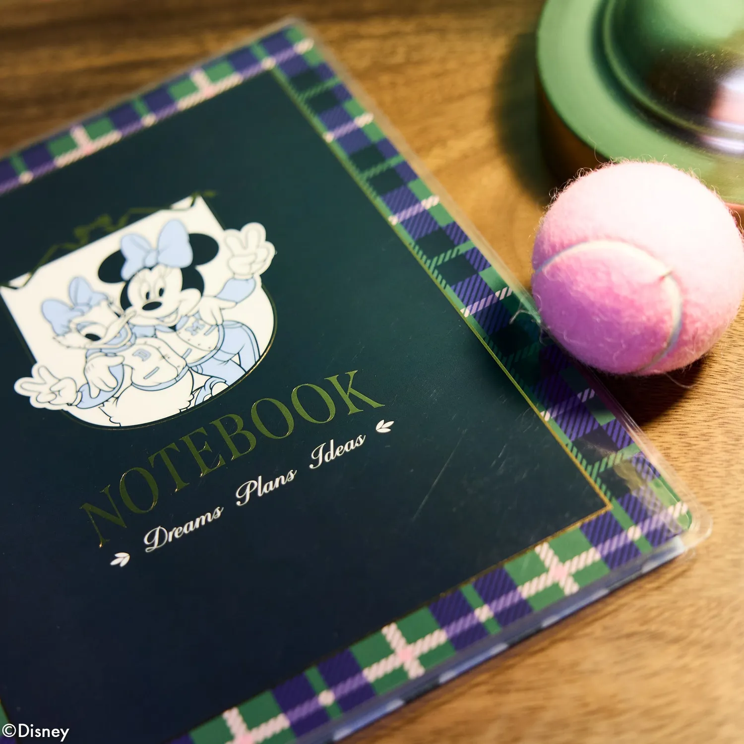 Happy Planner Minnie Daisy Varsity carnet Big pointillé 60