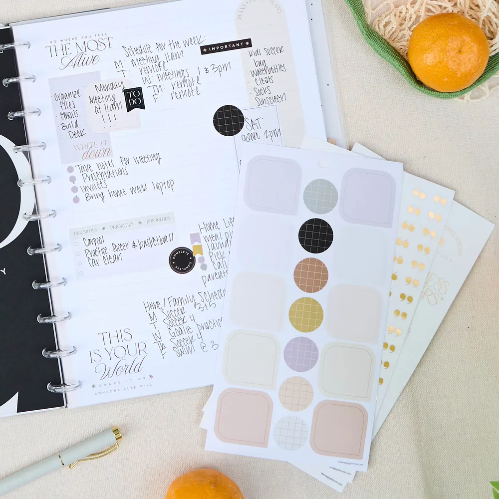 Happy Planner Neutral Chic stickers Classic 30 planches doré