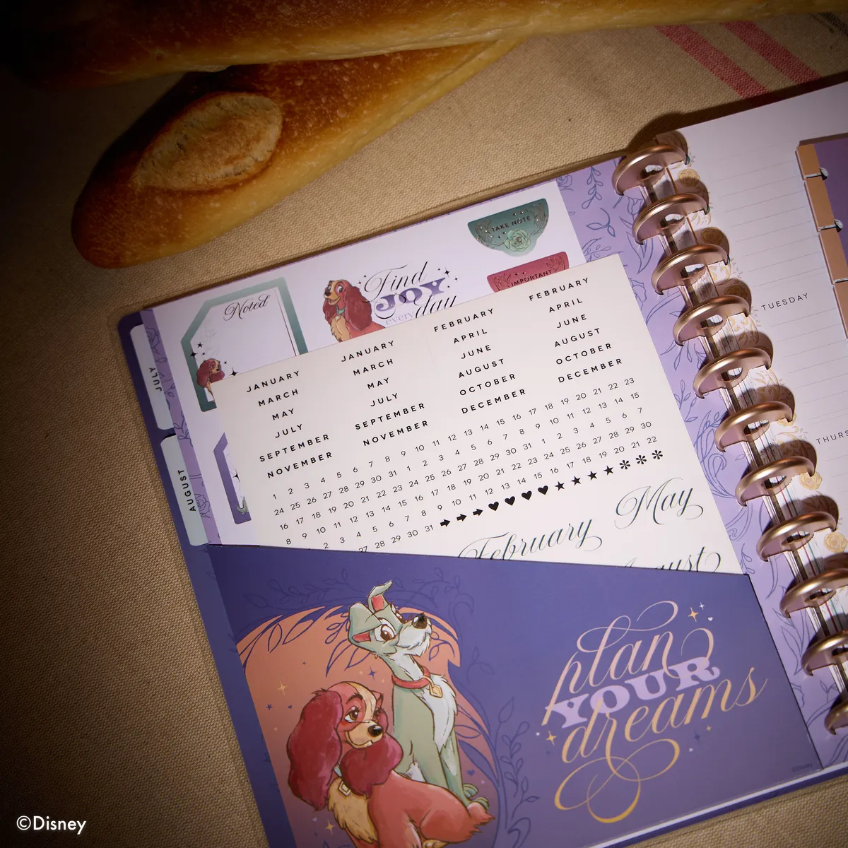 Happy Planner Disney Lady Tramp extension planner Big 4 mois