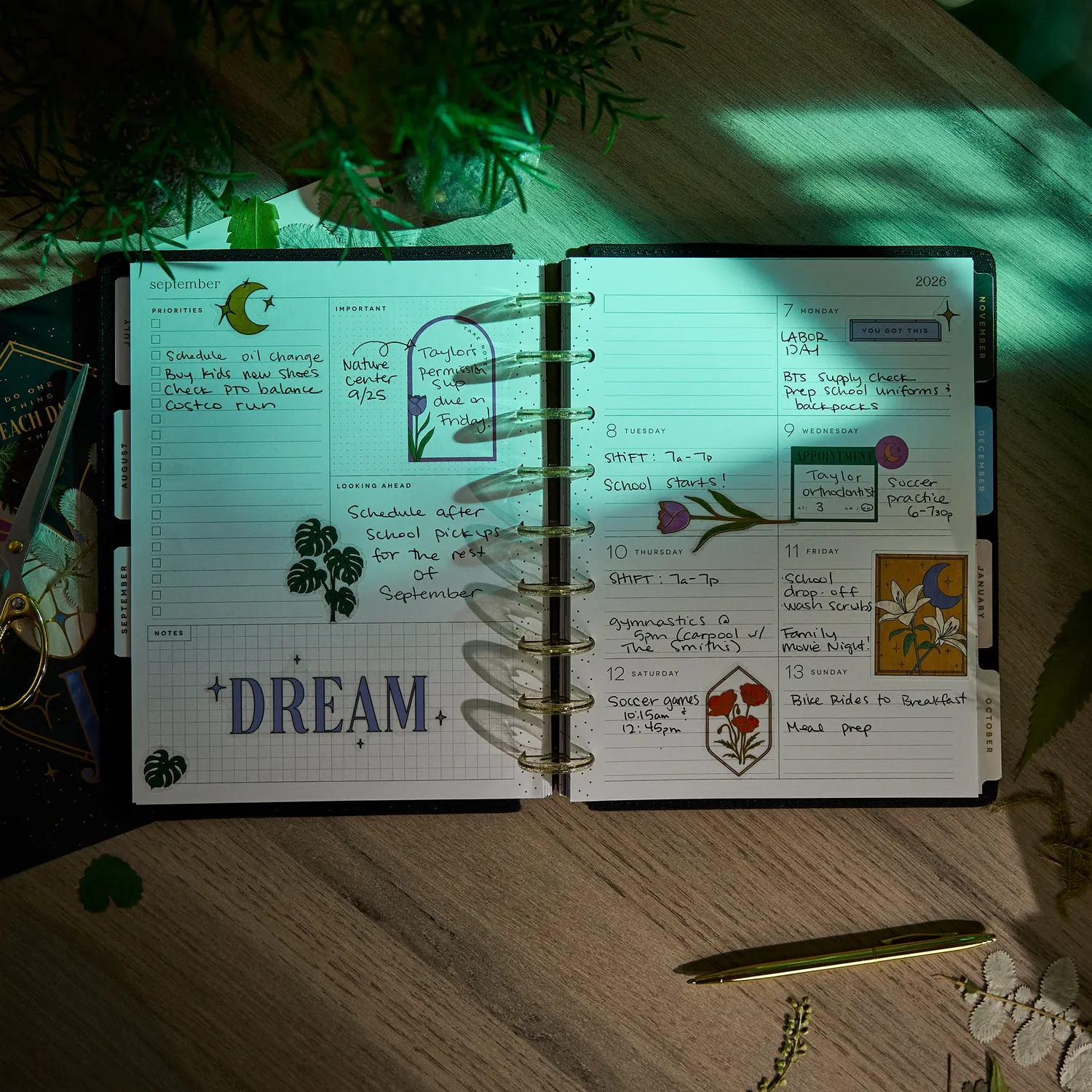 Happy Planner Tinted Mosaic agenda Classic dashboard 12 mois