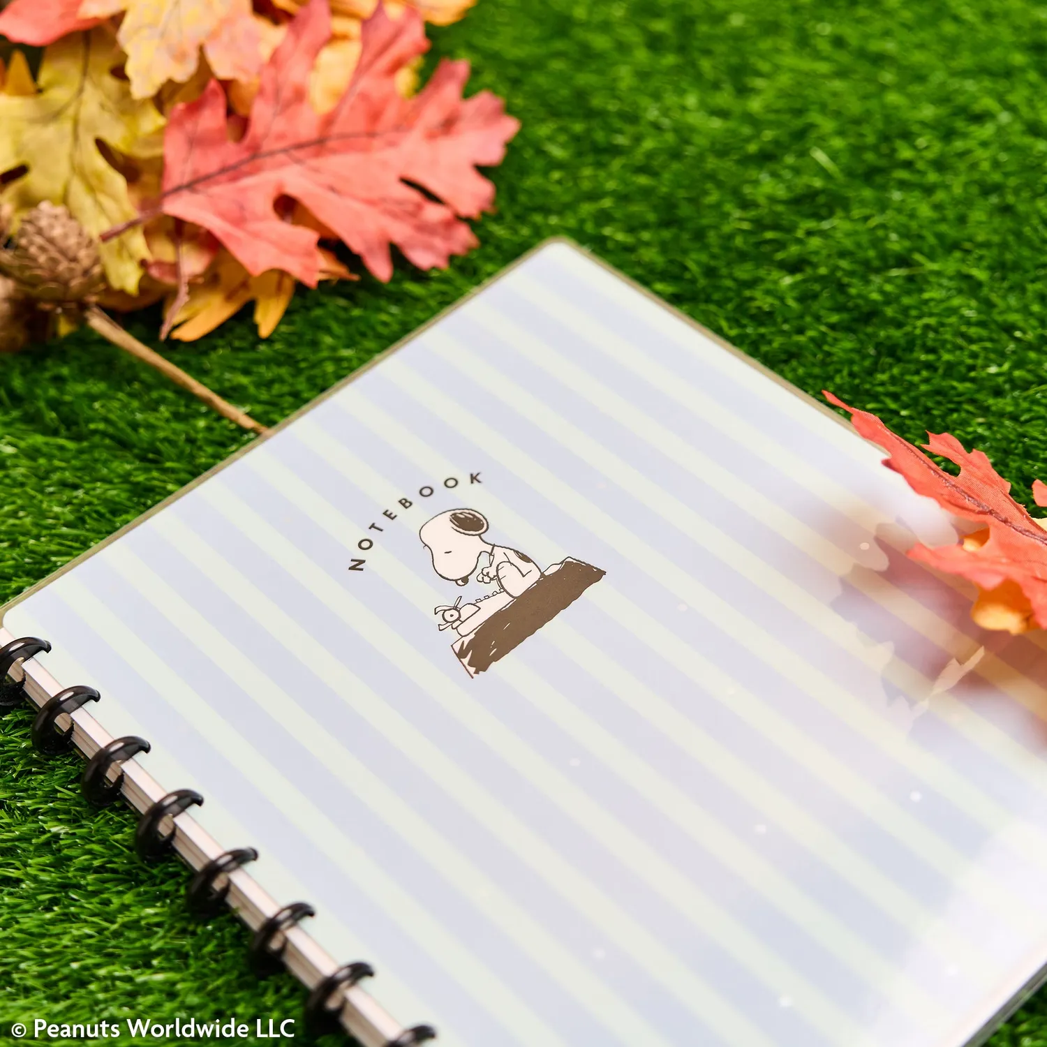 Happy Planner Peanuts Snoopy carnet disques Big 60 feuilles