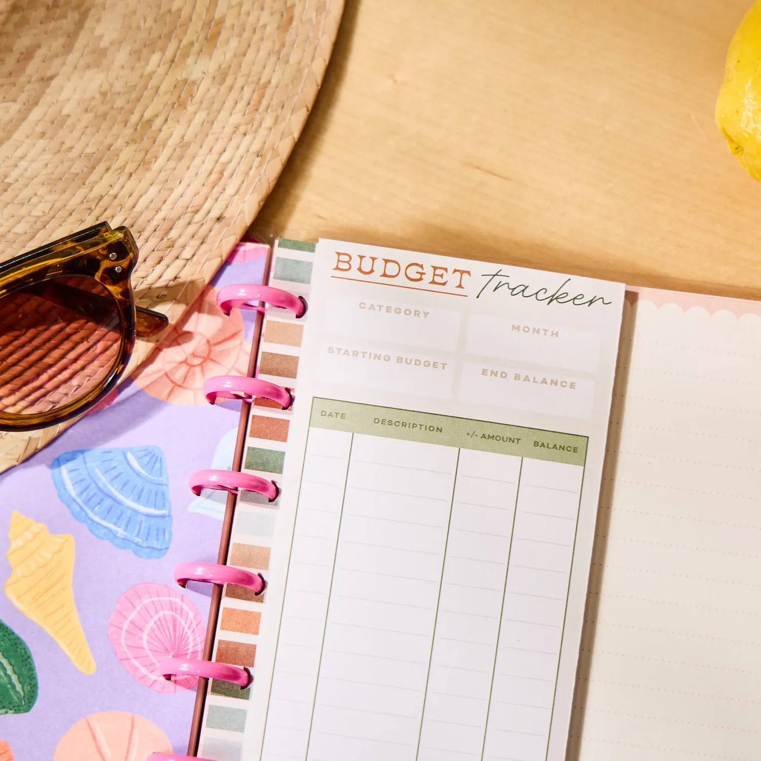 Happy Planner Sage Terracotta recharge budget Classic 40 feuilles