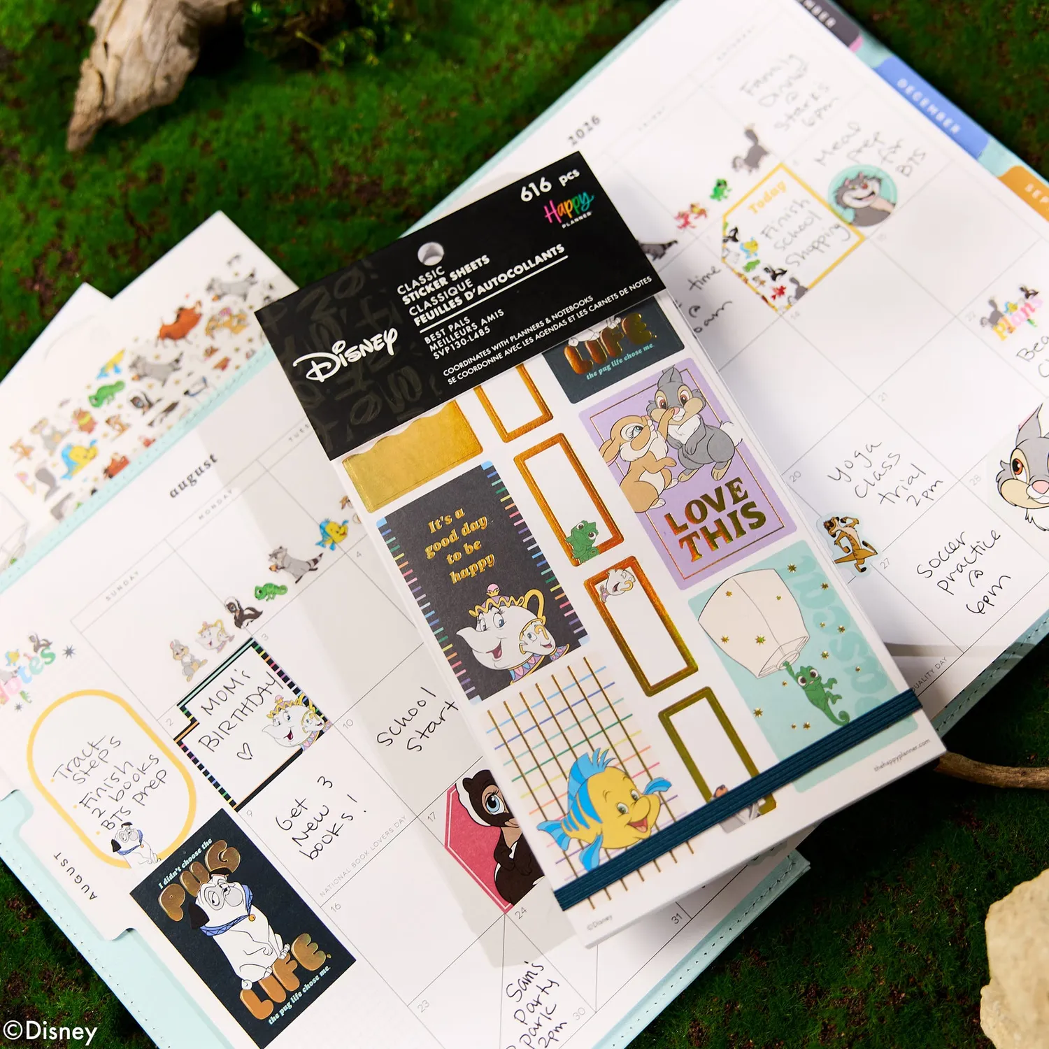 Happy Planner Disney Best Pals stickers Value Pack 30 feuilles