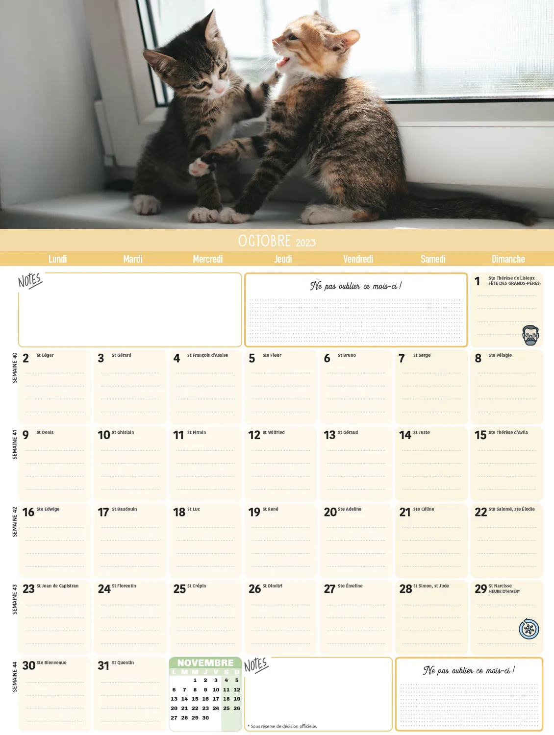 Frigobloc Mensuel 2024 calendrier familial Chats aimanté 16 mois