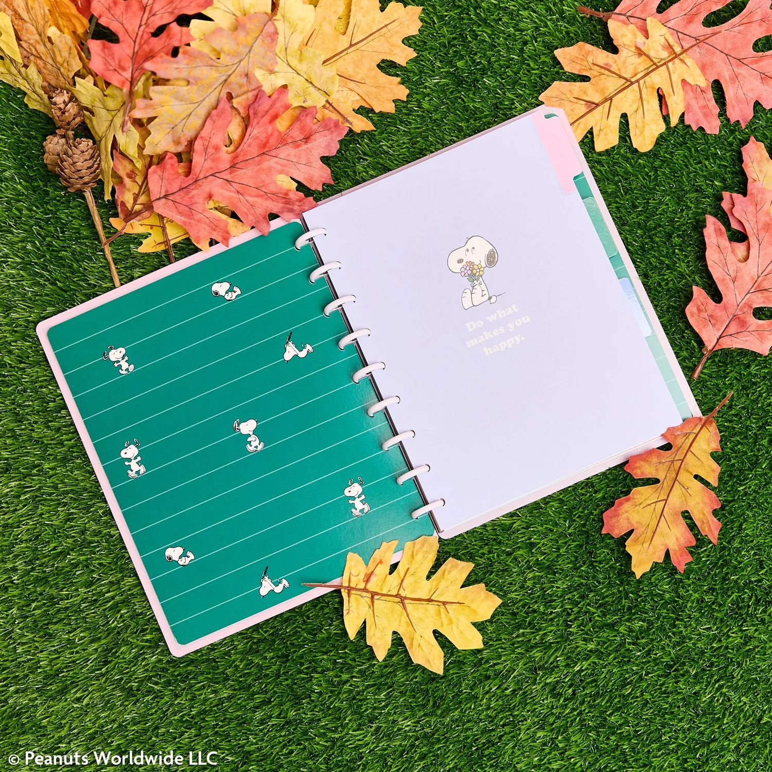 Happy Planner Peanuts Snoopy carnet pointillé Classic 60 feuilles