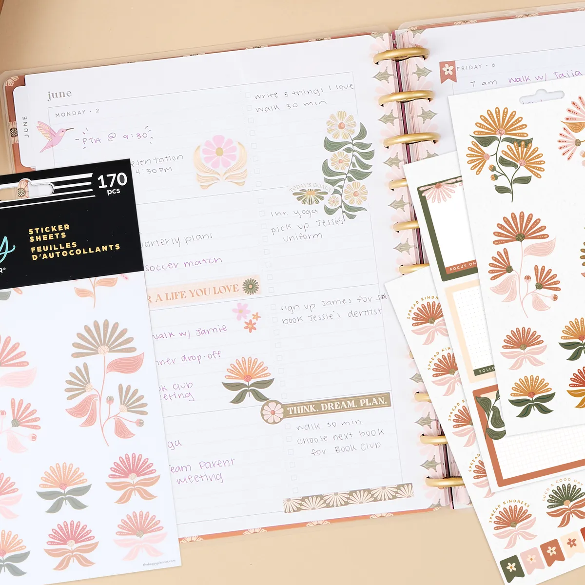 Happy Planner Desert Rose stickers désert 10 feuilles 170 pièces