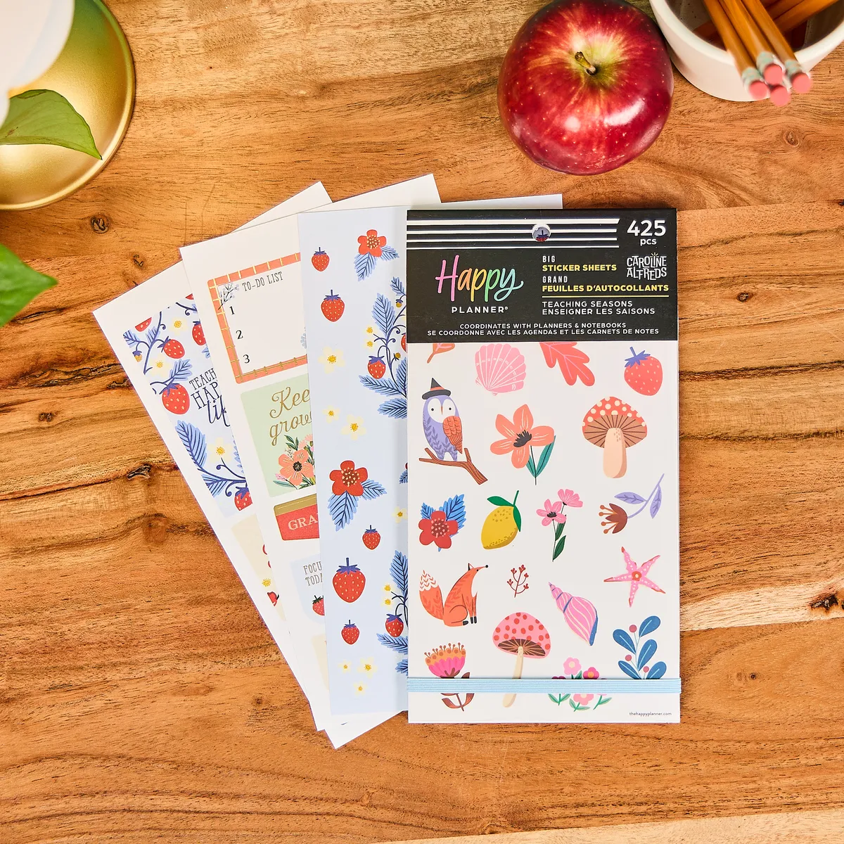 Happy Planner Teaching Seasons Big stickers 425 autocollants