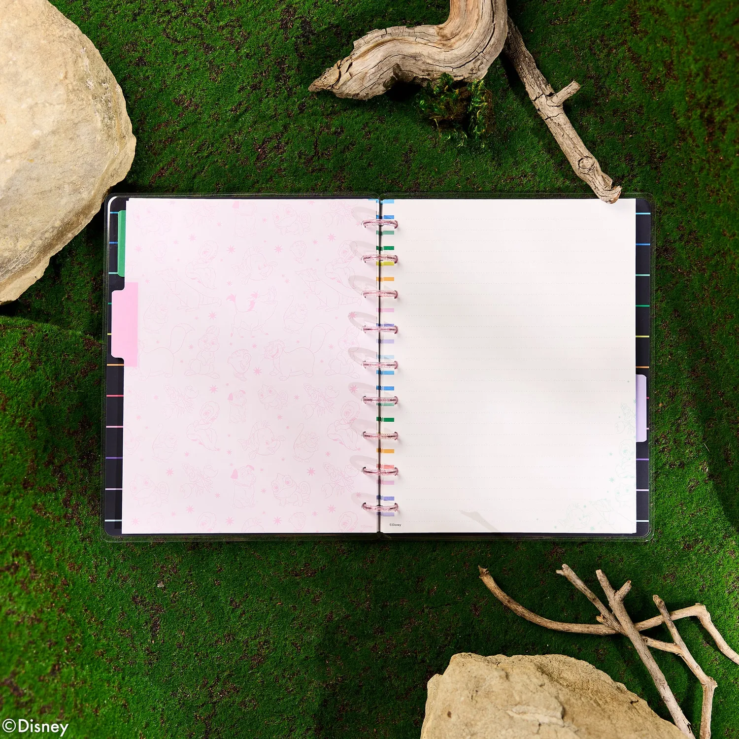 Happy Planner Disney Best Pals carnet Classic pointillé